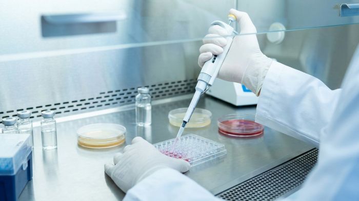 Роспотребнадзор зарегистрировал первый в мире CRISPR-тест на устойчивость к антибиотикам