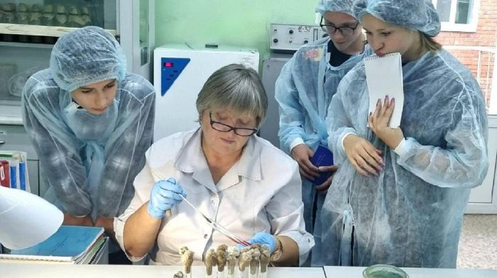 Поддерживаете ли вы обязательные отработки для врачей?