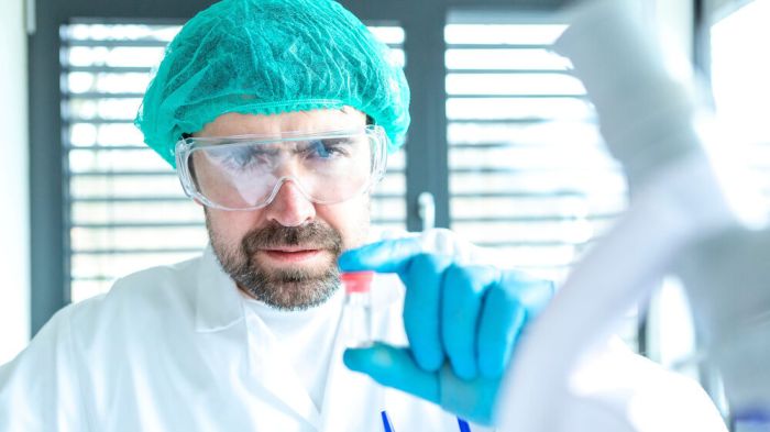 В России зарегистрировали быстрый тест на птичий грипп A(H5N8)