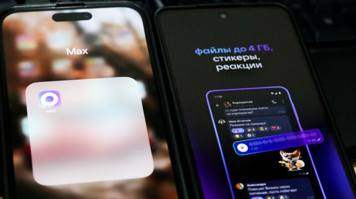 Правительству РФ предложили создать единый реестр каналов связи для клиник на платформе МАХ
